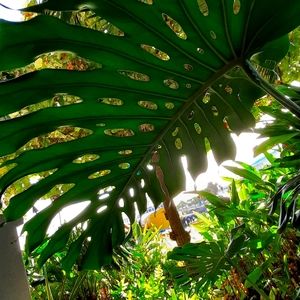 Meet your Posher, Annelise